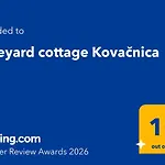 Vineyard Kovacnica Semic