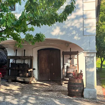Vineyard Kovacnica *