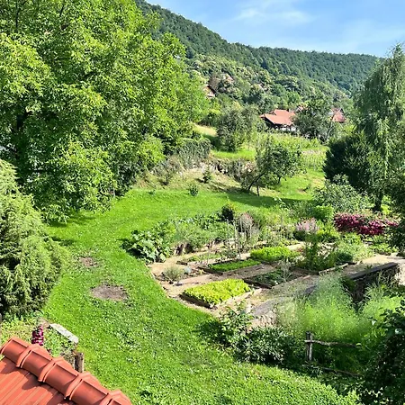 Vineyard Kovacnica * Semic