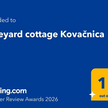 Vineyard Kovacnica Semic
