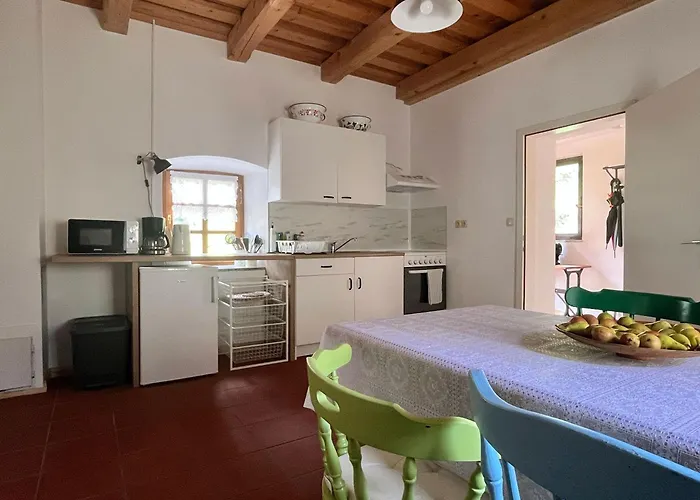 Vineyard Kovacnica Semic