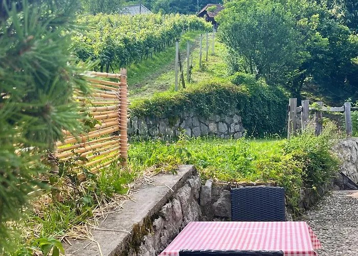 Vineyard Kovacnica Semesterbostad *