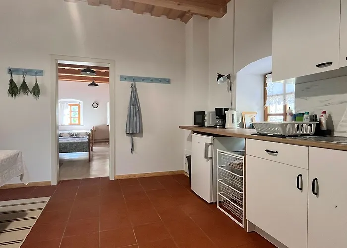 Vineyard Kovacnica *